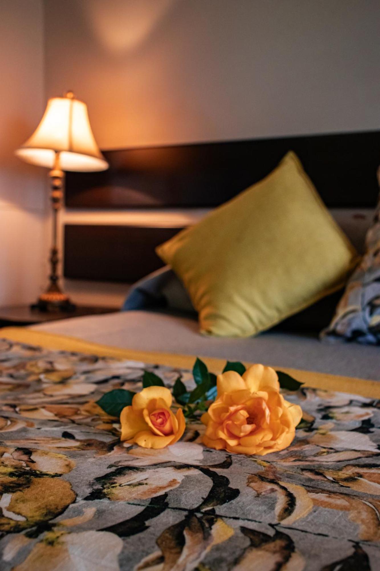 Drakensview Self Catering Apartment Уинтъртън Екстериор снимка